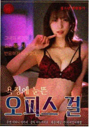 南来北往